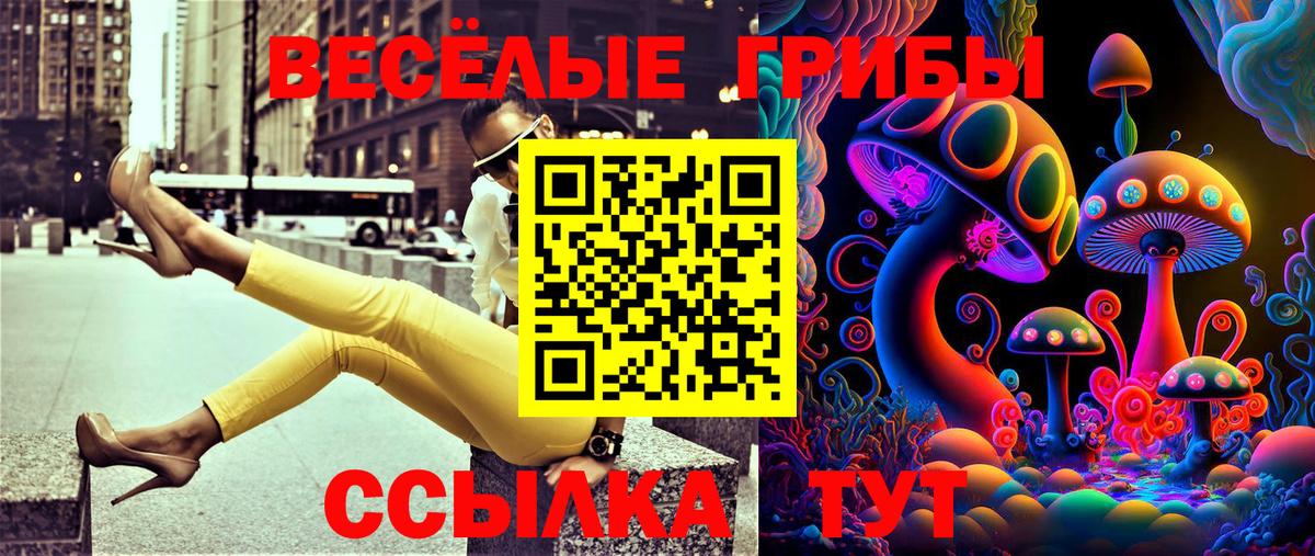 Псилоцибиновые грибы GOLDEN TEACHER  Вход с VPN  Лянтор 